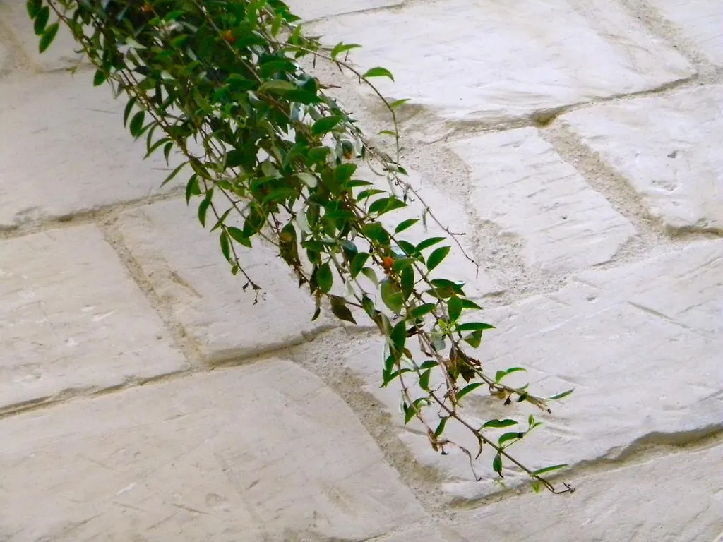 Alvino Suite And Breakfast Lecce Bed & Breakfast